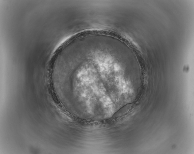 X0000090771208200708101802