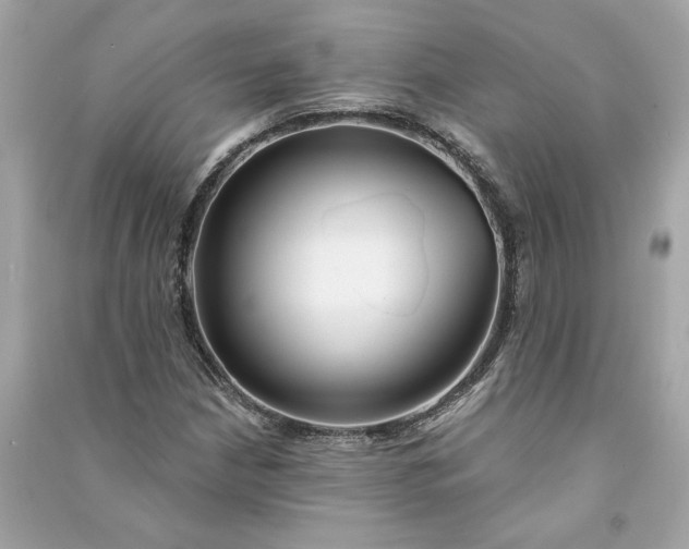 X0000090771210200708101802