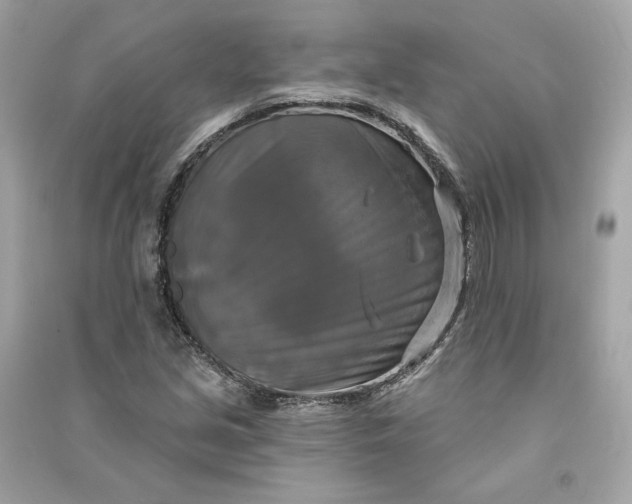 X0000090771213200708101802