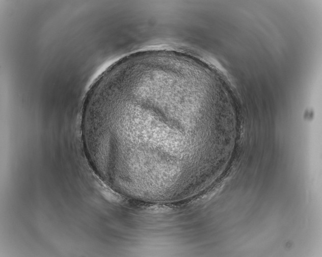 X0000090771216200708101802