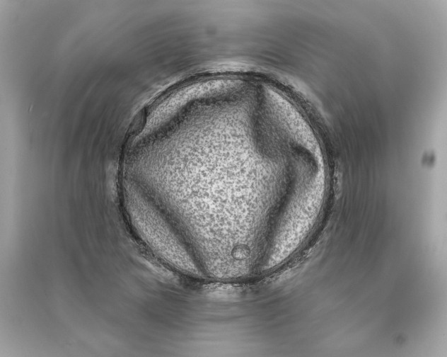X0000090771217200708101802