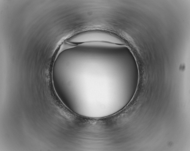 X0000090771218200708101802