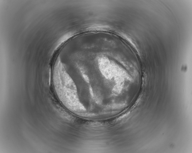 X0000090771219200708101802
