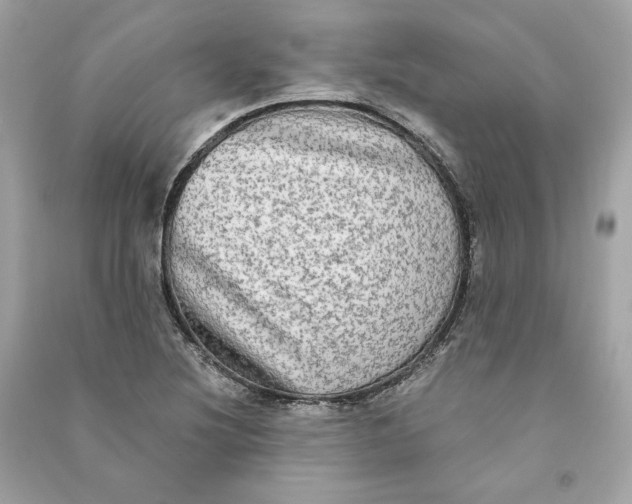 X0000090771220200708101802