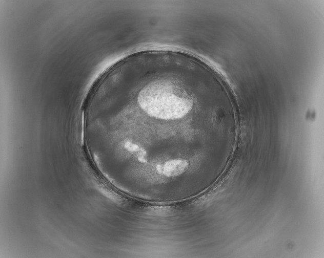 X0000090771223200708101802