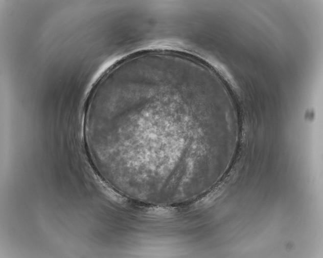 X0000090771224200708101802