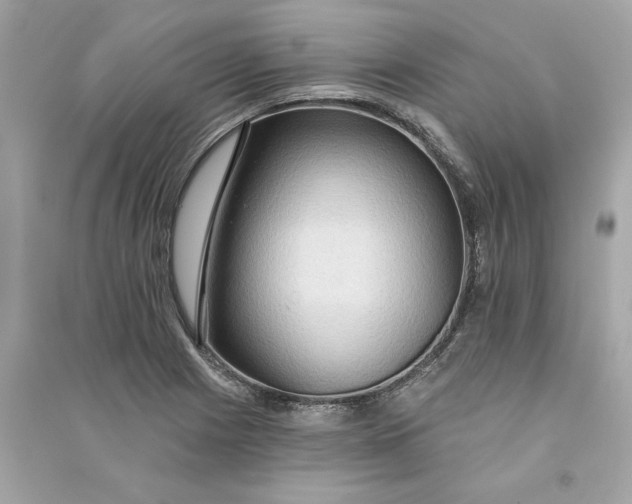X0000090771225200708101802