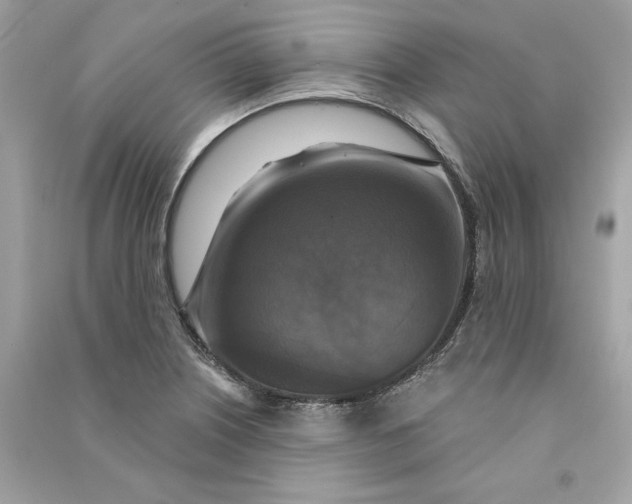 X0000090771226200708101803