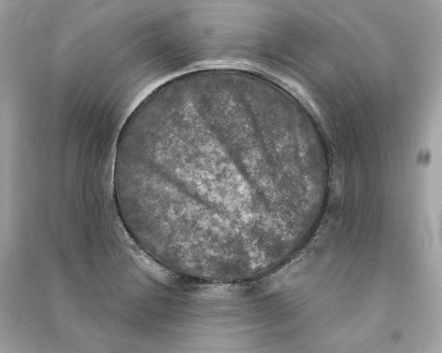 X0000090771228200708101803