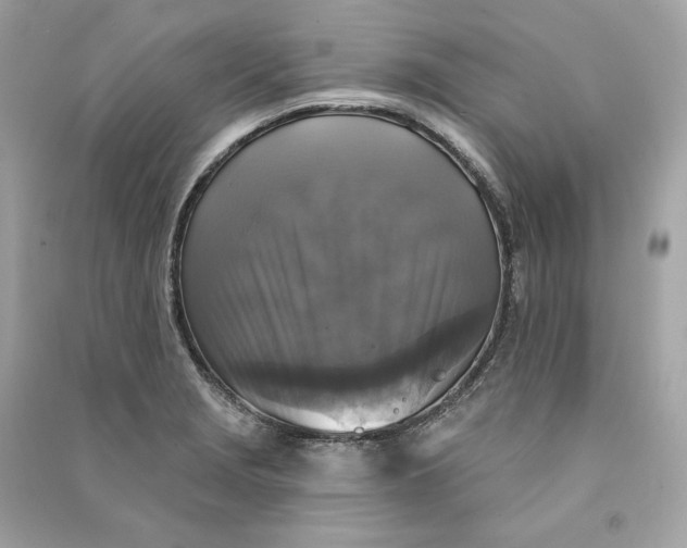 X0000090771229200708101803