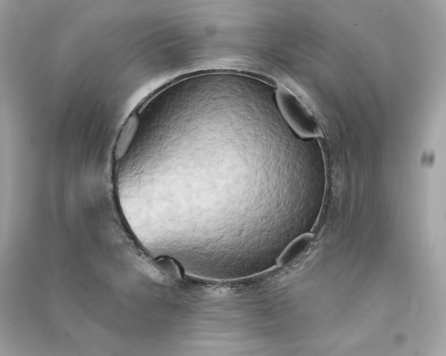 X0000090771230200708101803