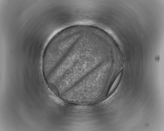 X0000090771232200708101803