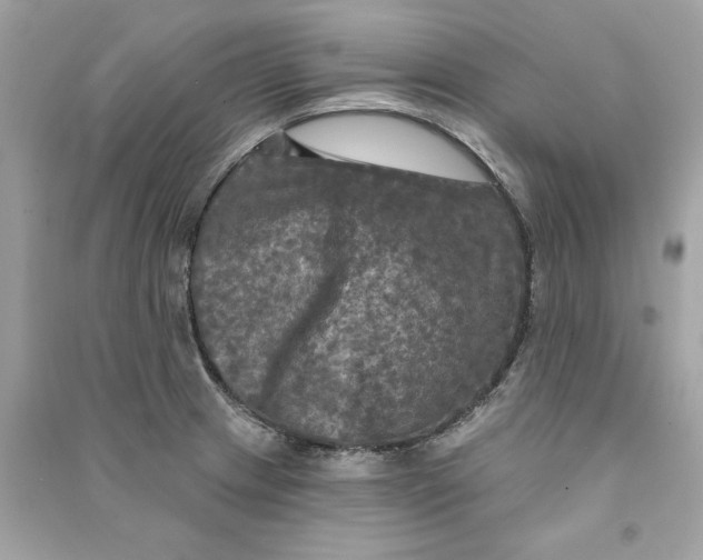 X0000090771233200708101803