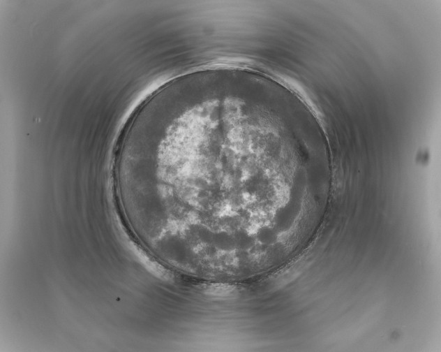X0000090771235200708101803