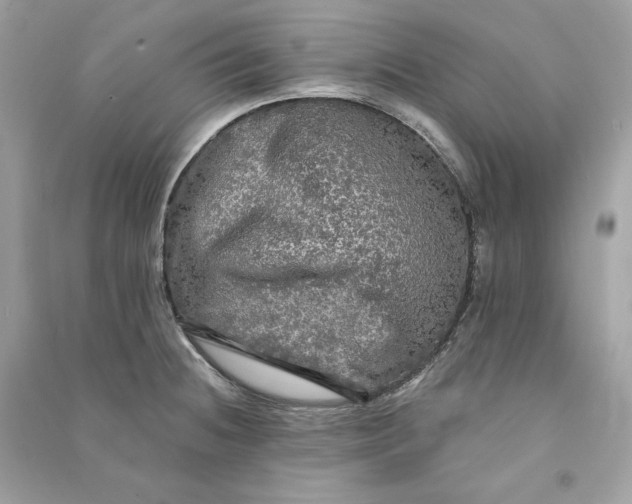 X0000090771236200708101803