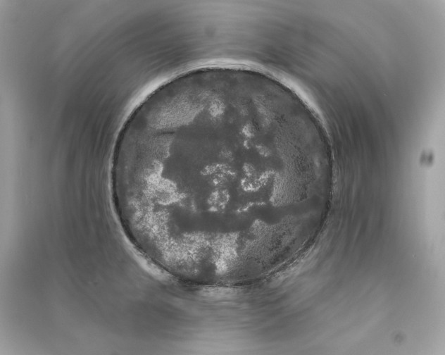 X0000090771237200708101803
