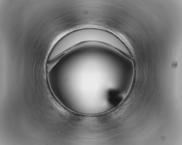 X0000090771238200708101803