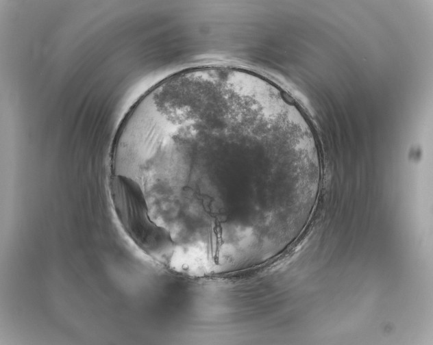 X0000090771239200708101803