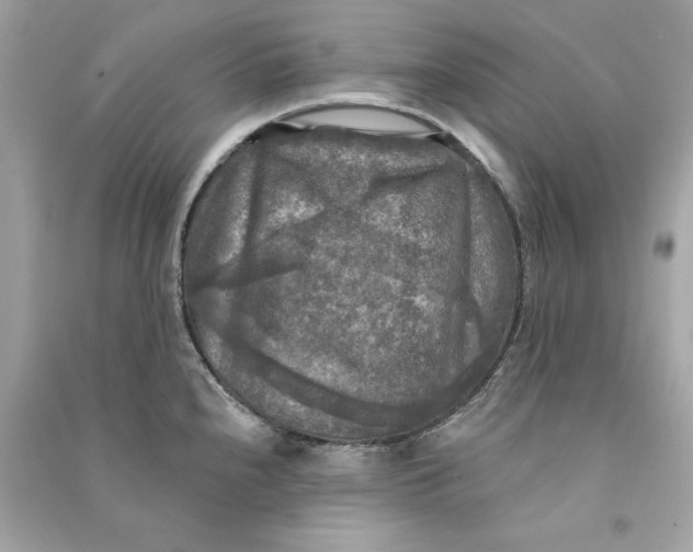 X0000090771240200708101803