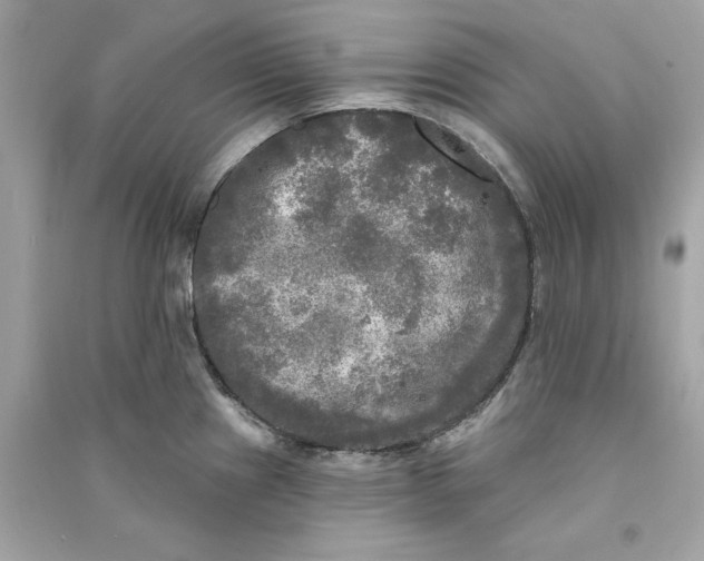 X0000090771241200708101803