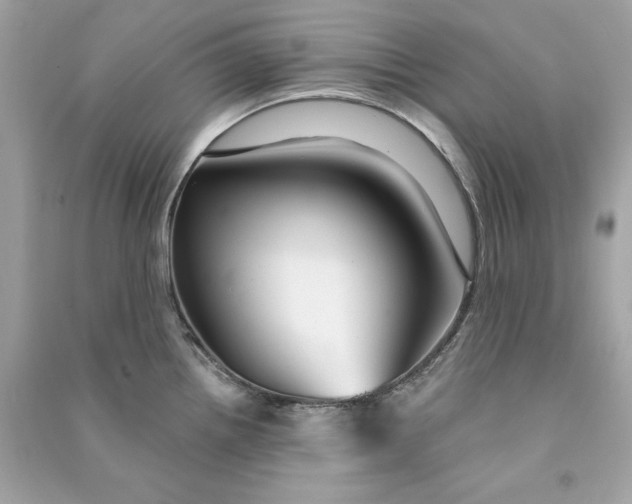 X0000090771242200708101803