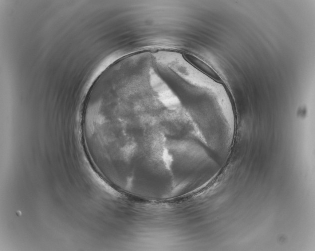 X0000090771243200708101803