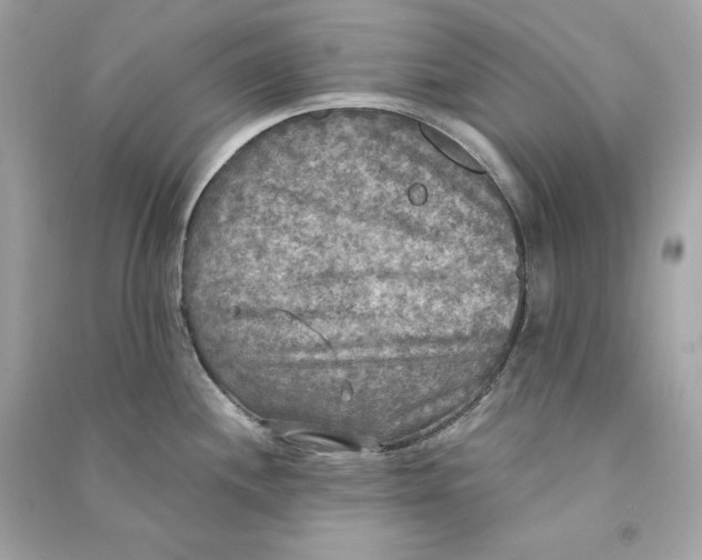 X0000090771244200708101803
