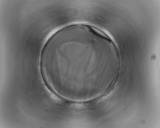 X0000090771245200708101803