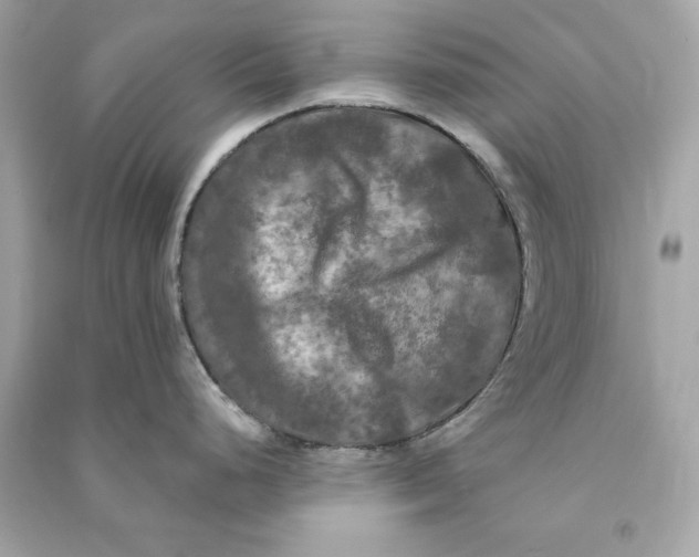 X0000090771248200708101803