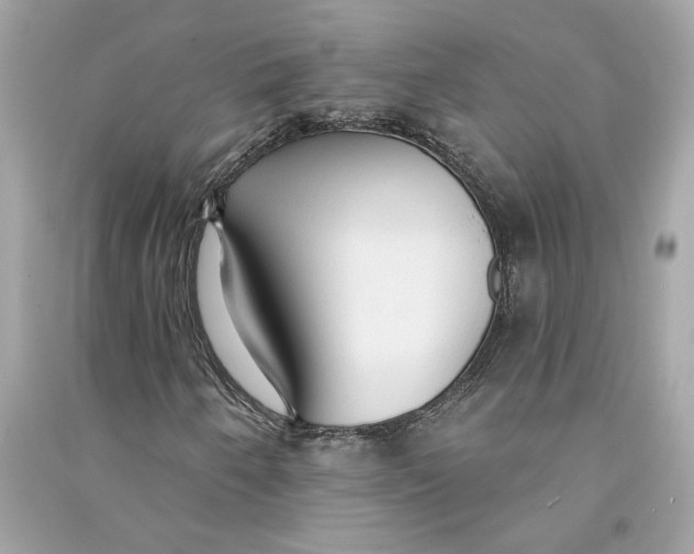 X0000090771250200708101802