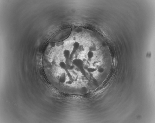 X0000090771251200708101802
