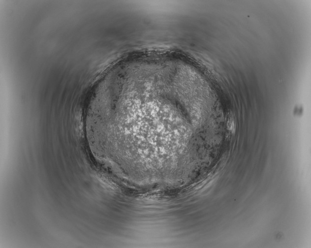 X0000090771252200708101802
