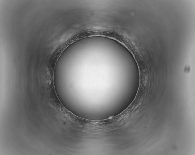 X0000090771253200708101802