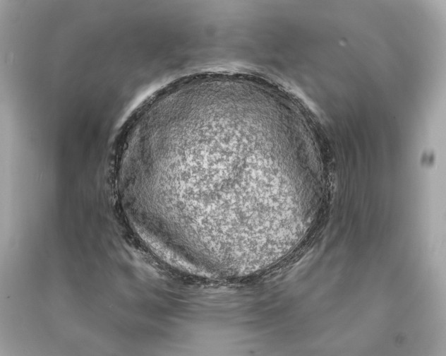 X0000090771256200708101802