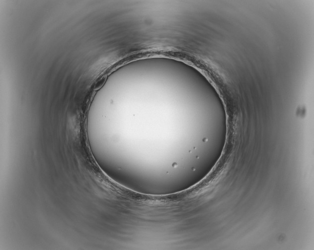 X0000090771257200708101802