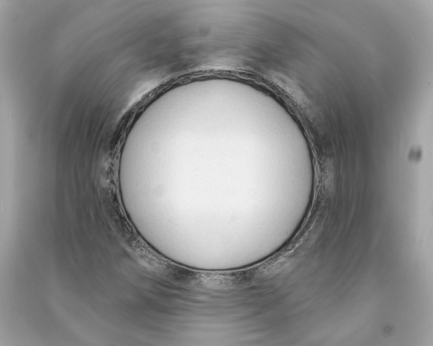 X0000090771258200708101802