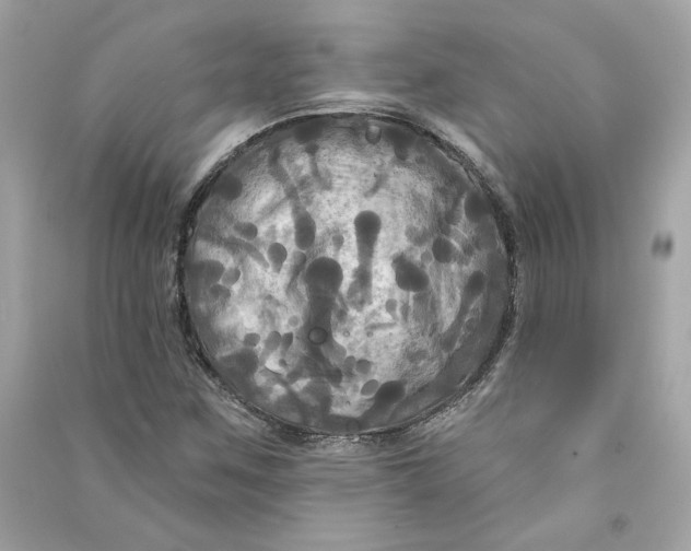 X0000090771259200708101802