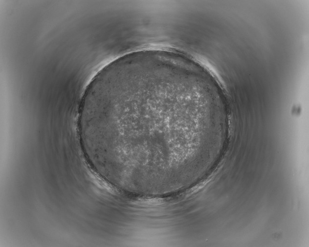 X0000090771260200708101802