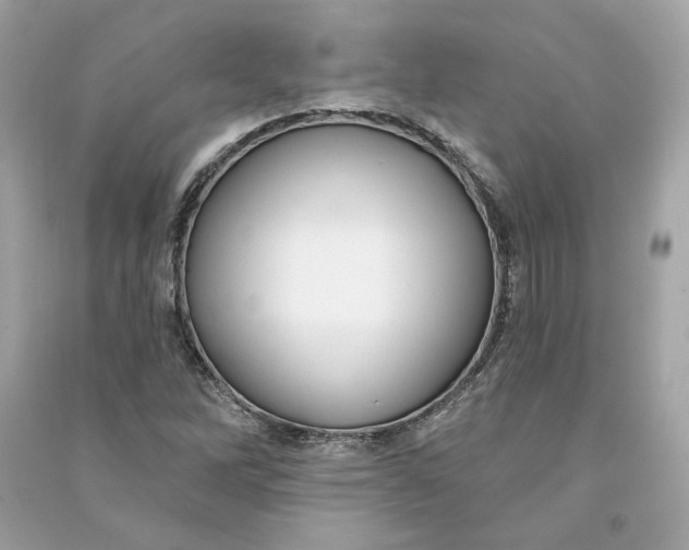 X0000090771262200708101802