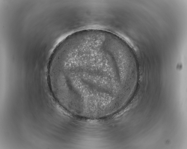 X0000090771264200708101802