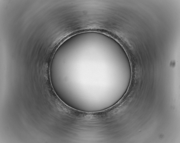 X0000090771265200708101802