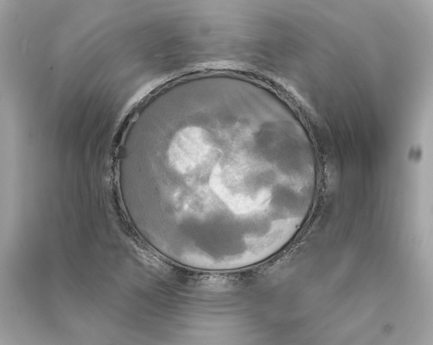 X0000090771266200708101802