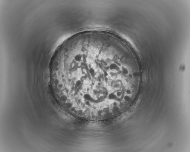 X0000090771267200708101802