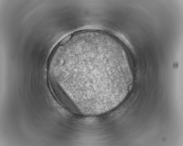 X0000090771268200708101802