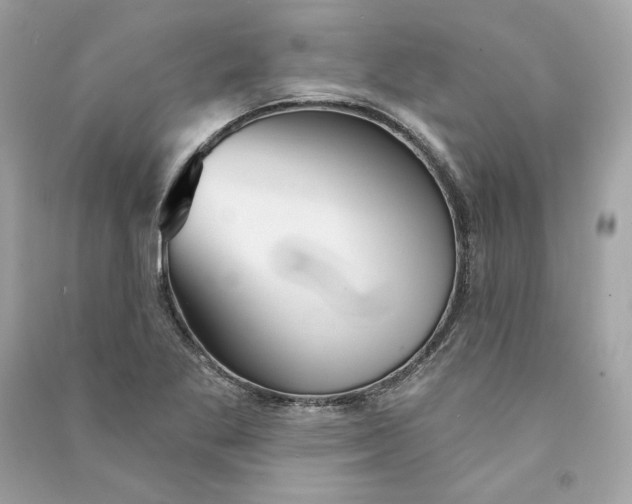 X0000090771269200708101802