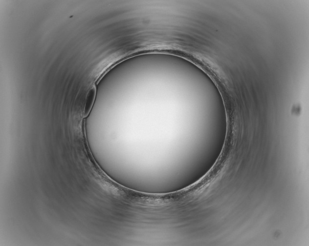 X0000090771273200708101802
