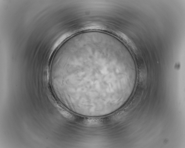 X0000090771274200708101802
