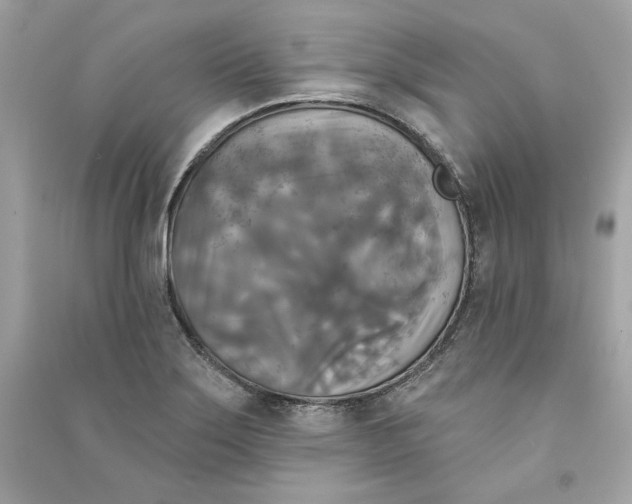 X0000090771275200708101802