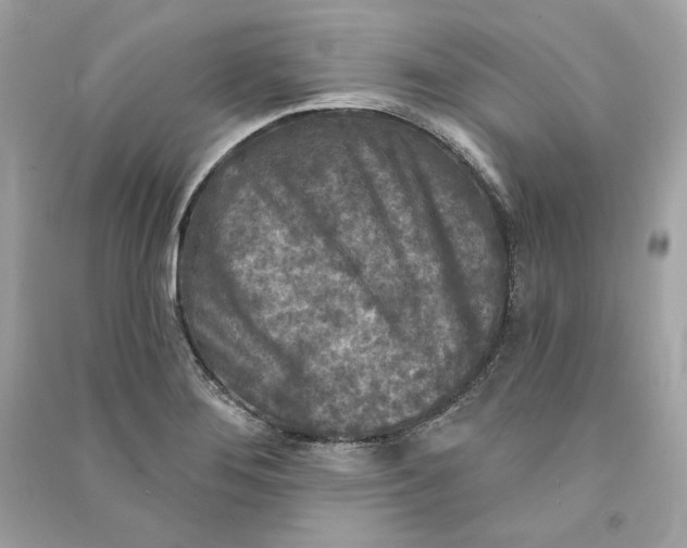 X0000090771276200708101802