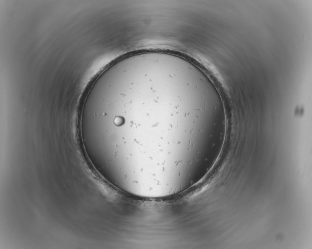 X0000090771277200708101802
